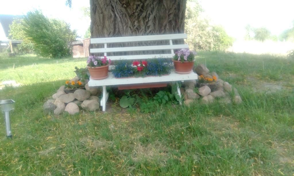 Das Haus Am Teich Gross Grabow Екстериор снимка