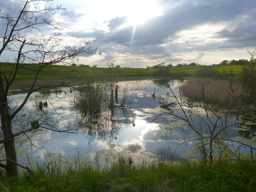 Das Haus Am Teich Hotel Gross Grabow Екстериор снимка